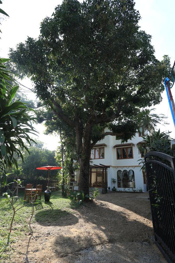 Mango Hill Inn Γιανγκόν Εξωτερικό φωτογραφία